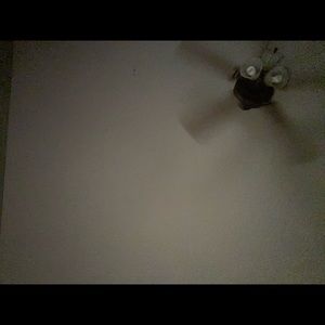 Meet your Posher, Rossy